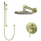 Meir tiger bronze gold wall mixer shower set round - set 2 (large rosette)