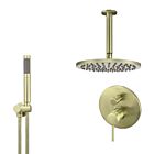 Meir tiger bronze gold wall mixer shower set round - set 12 (large rosette)