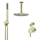 Meir tiger bronze gold wall mixer shower set round - set 13 (small rosette)