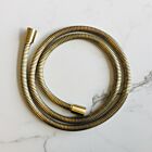 Meir tiger bronze gold shower hose