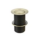 Meir tiger bronze gold pop-up click waste without overflow